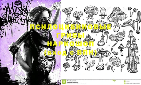 мяу мяу кристалл Арсеньев