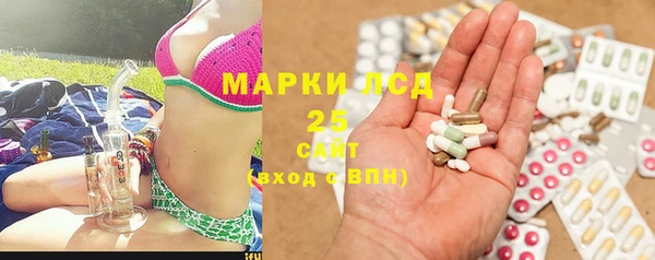 прущие крисы Аркадак